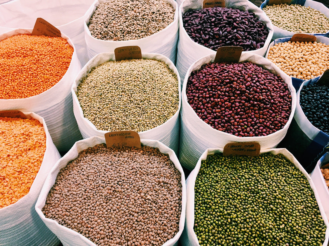 Plant-Based Protein: A Guide