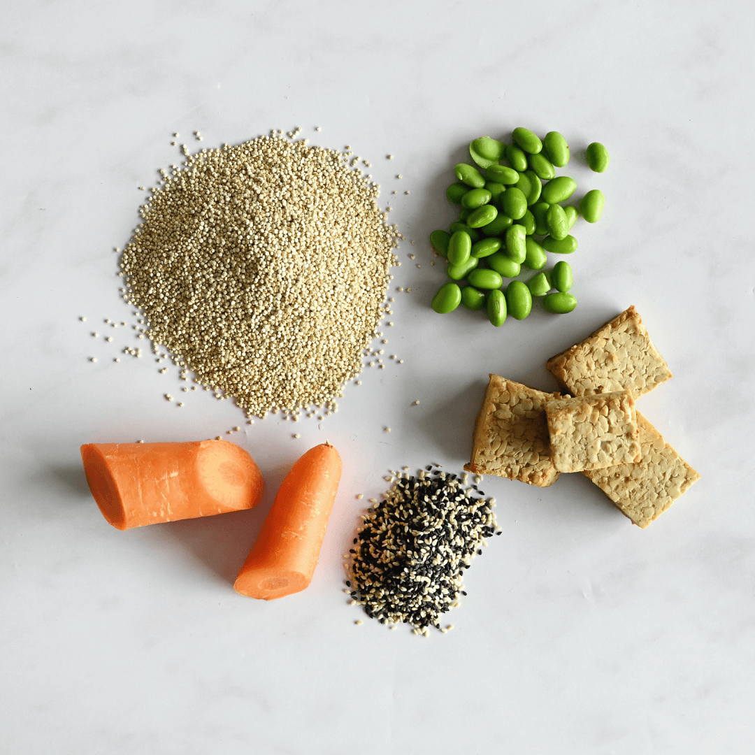 Japanese Protein Bowl